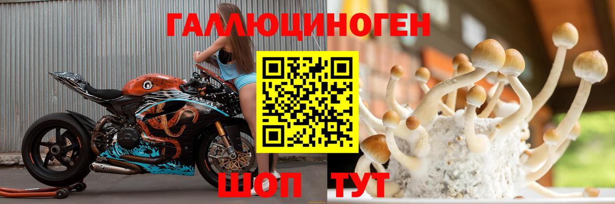 Благодарный  Псилоцибиновые грибы Psilocybe  Вход с VPN 